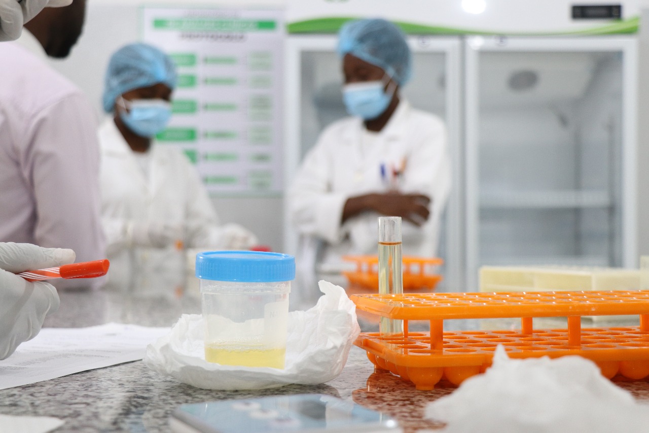 Laboratório de Análises Clínicas: Ciência e Precisão ao Serviço da Saúde