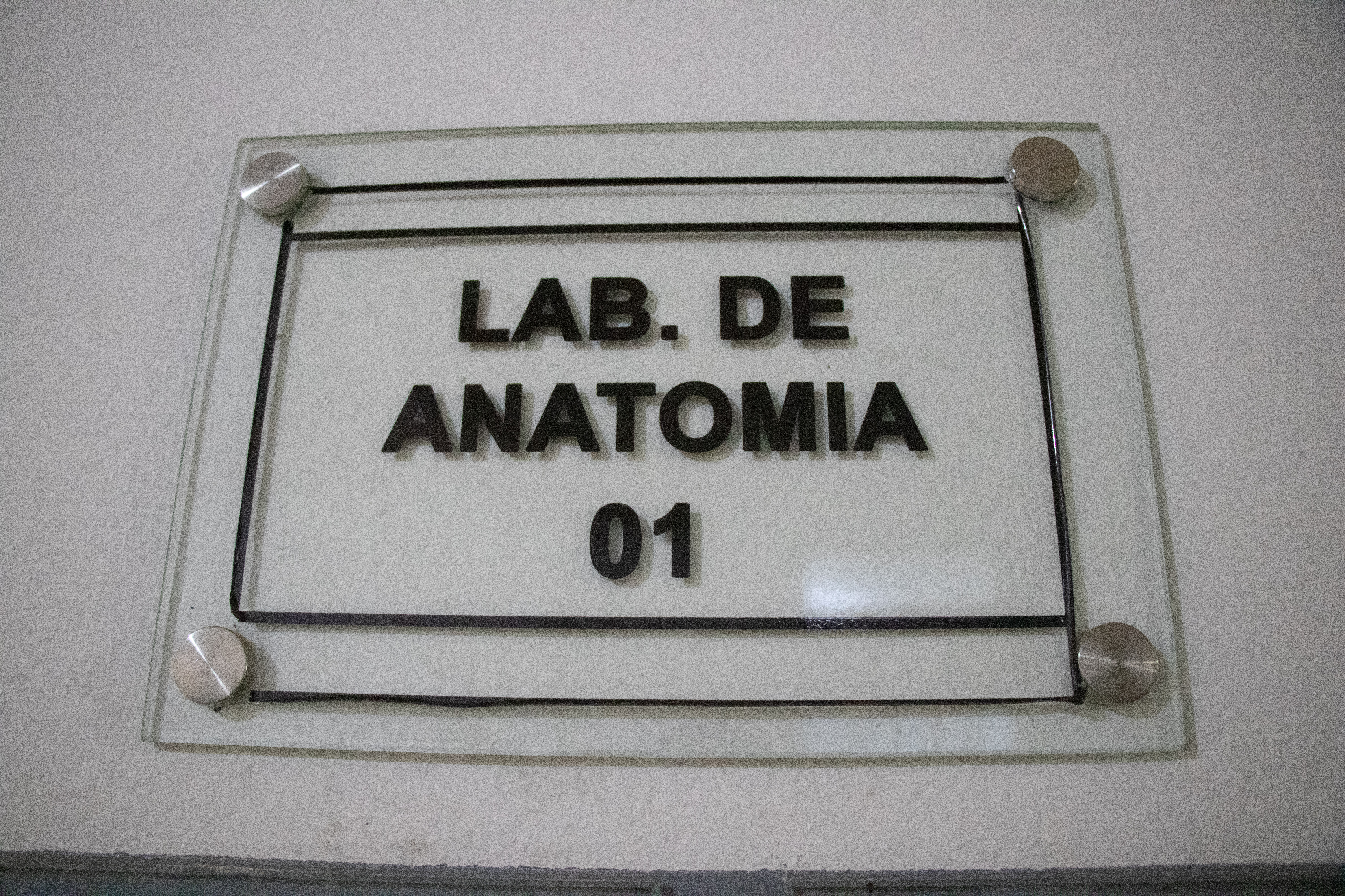Laboratório de Anatomia I — Onde o conhecimento ganha forma