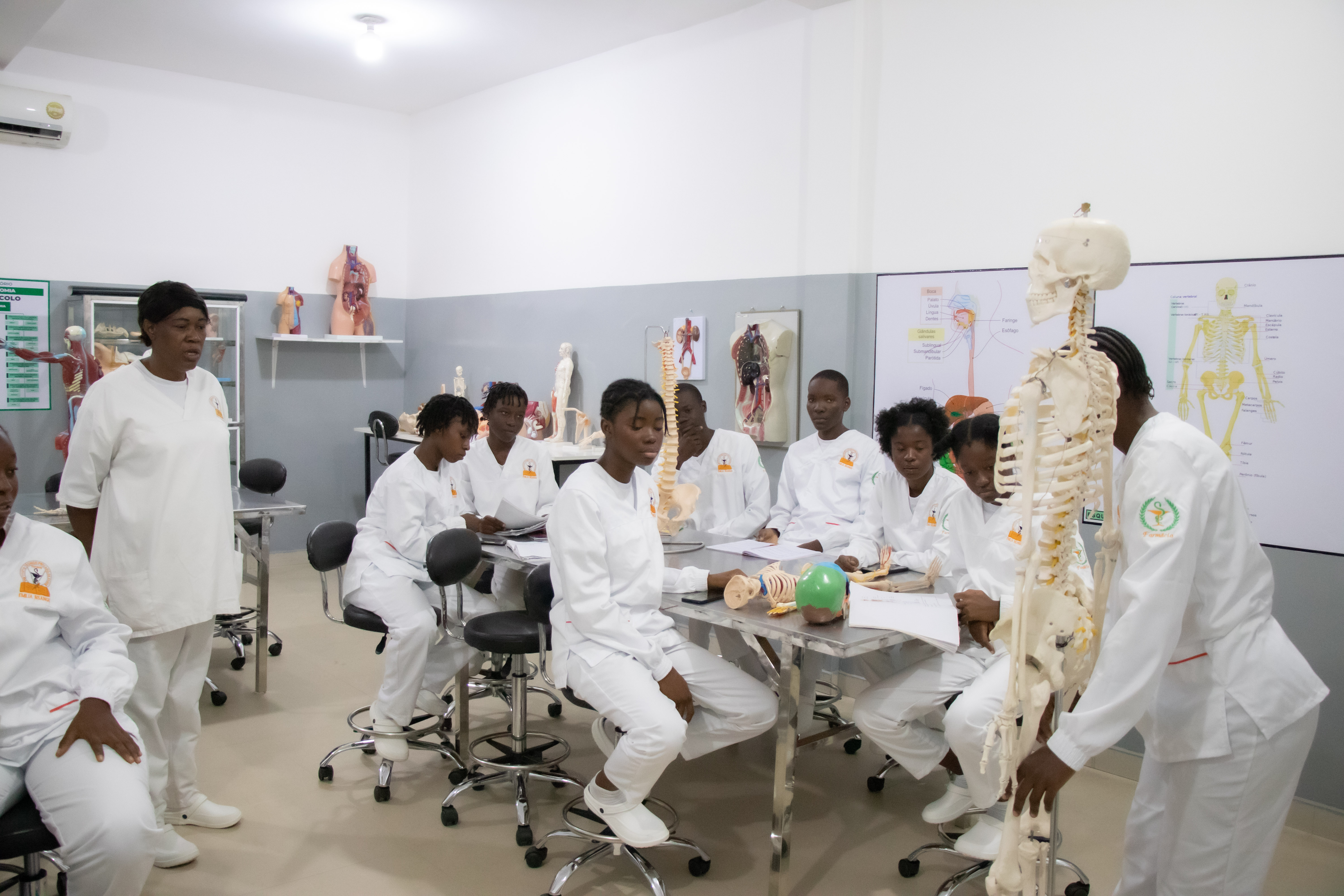 Laboratório de Anatomia I — Onde o conhecimento ganha forma
