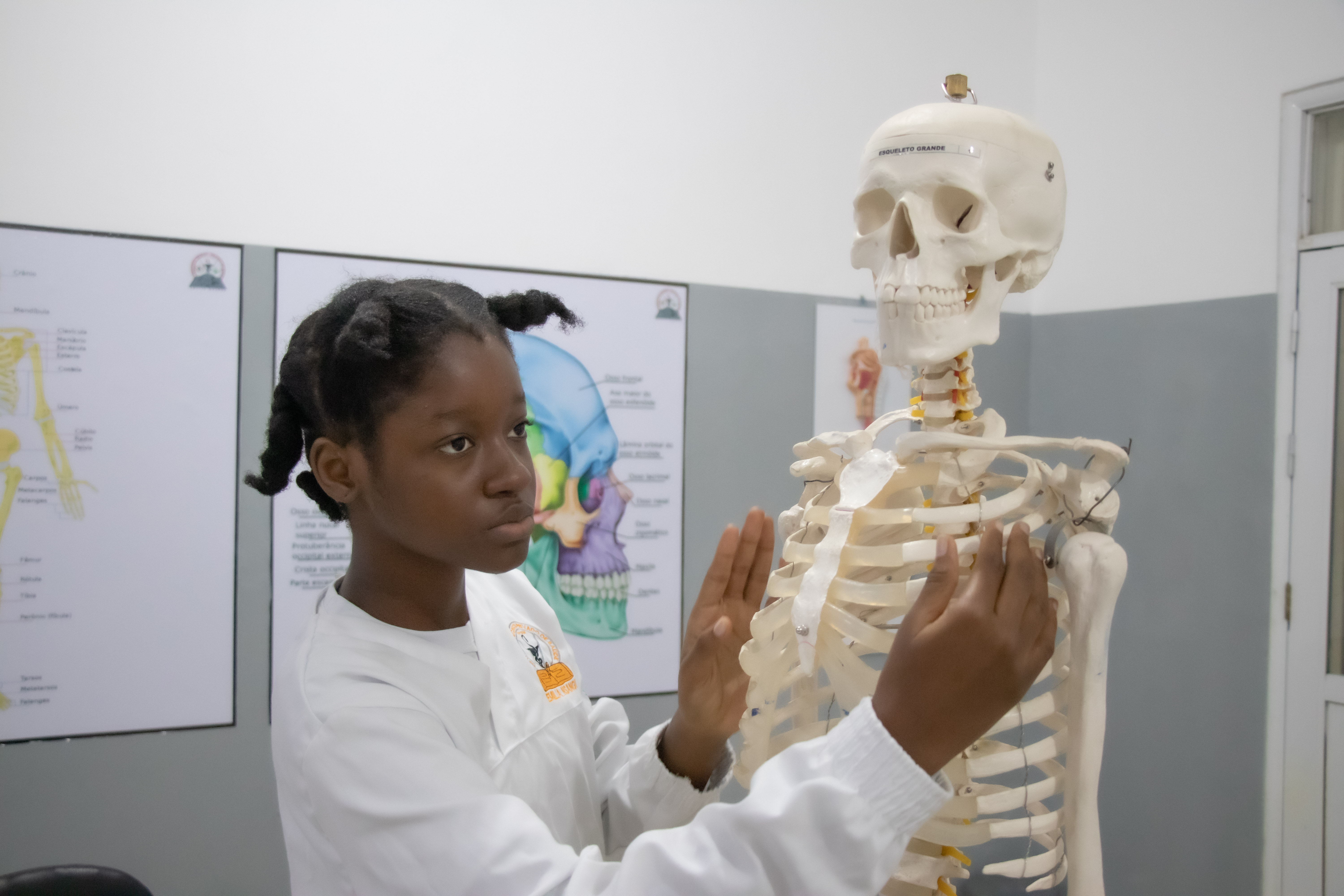 Laboratório de Anatomia I — Onde o conhecimento ganha forma