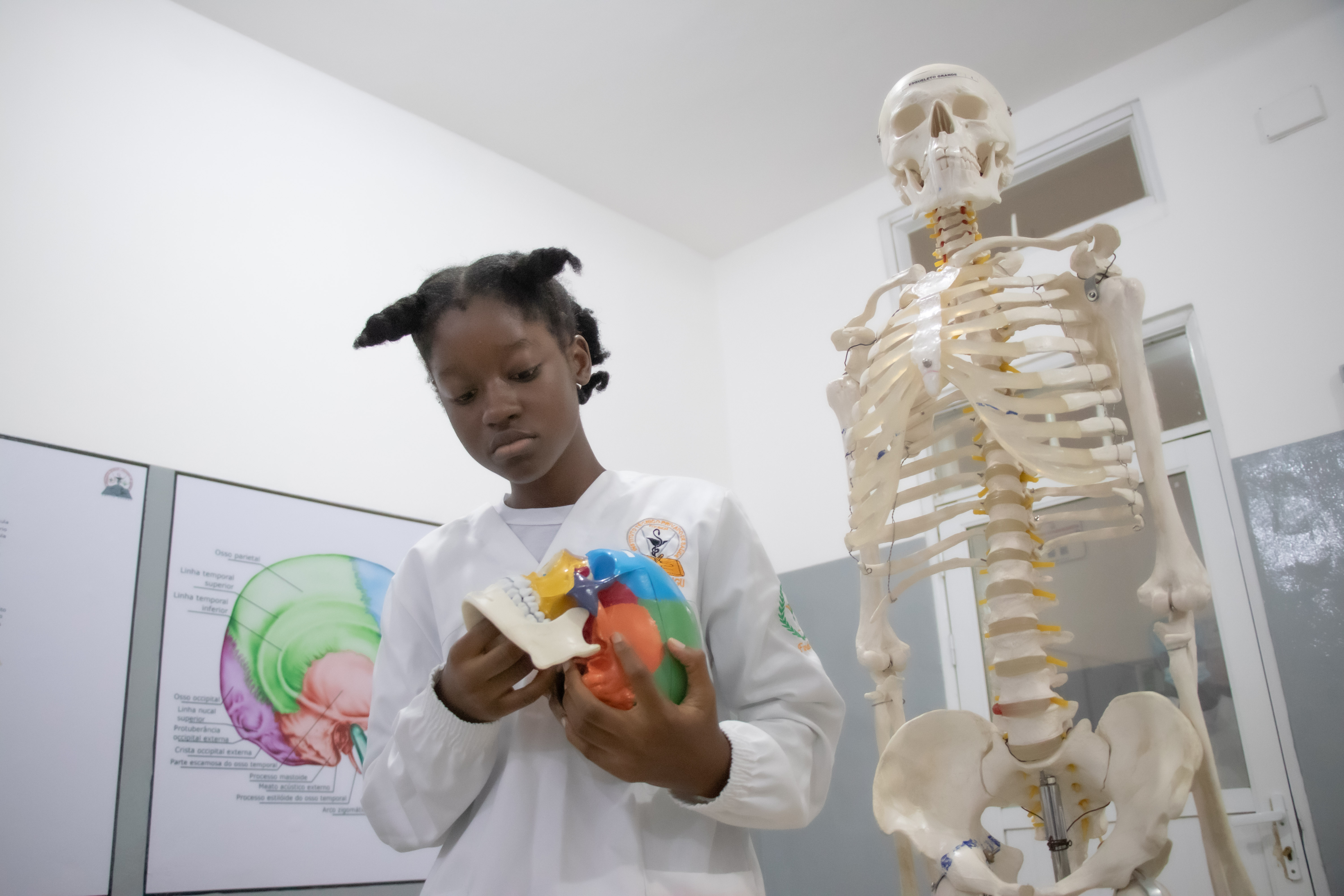 Laboratório de Anatomia I — Onde o conhecimento ganha forma
