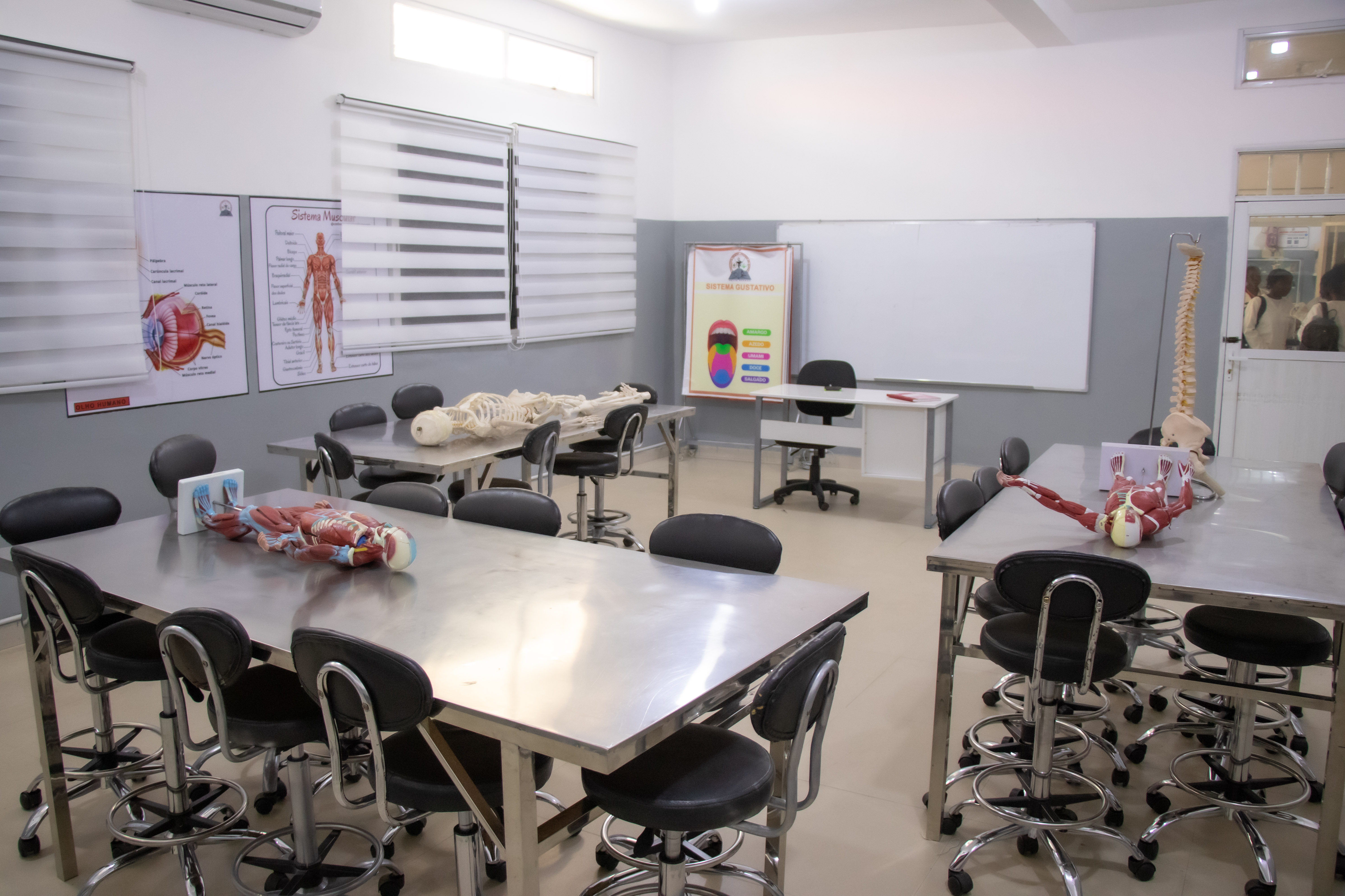 Laboratório de Anatomia I — Onde o conhecimento ganha forma