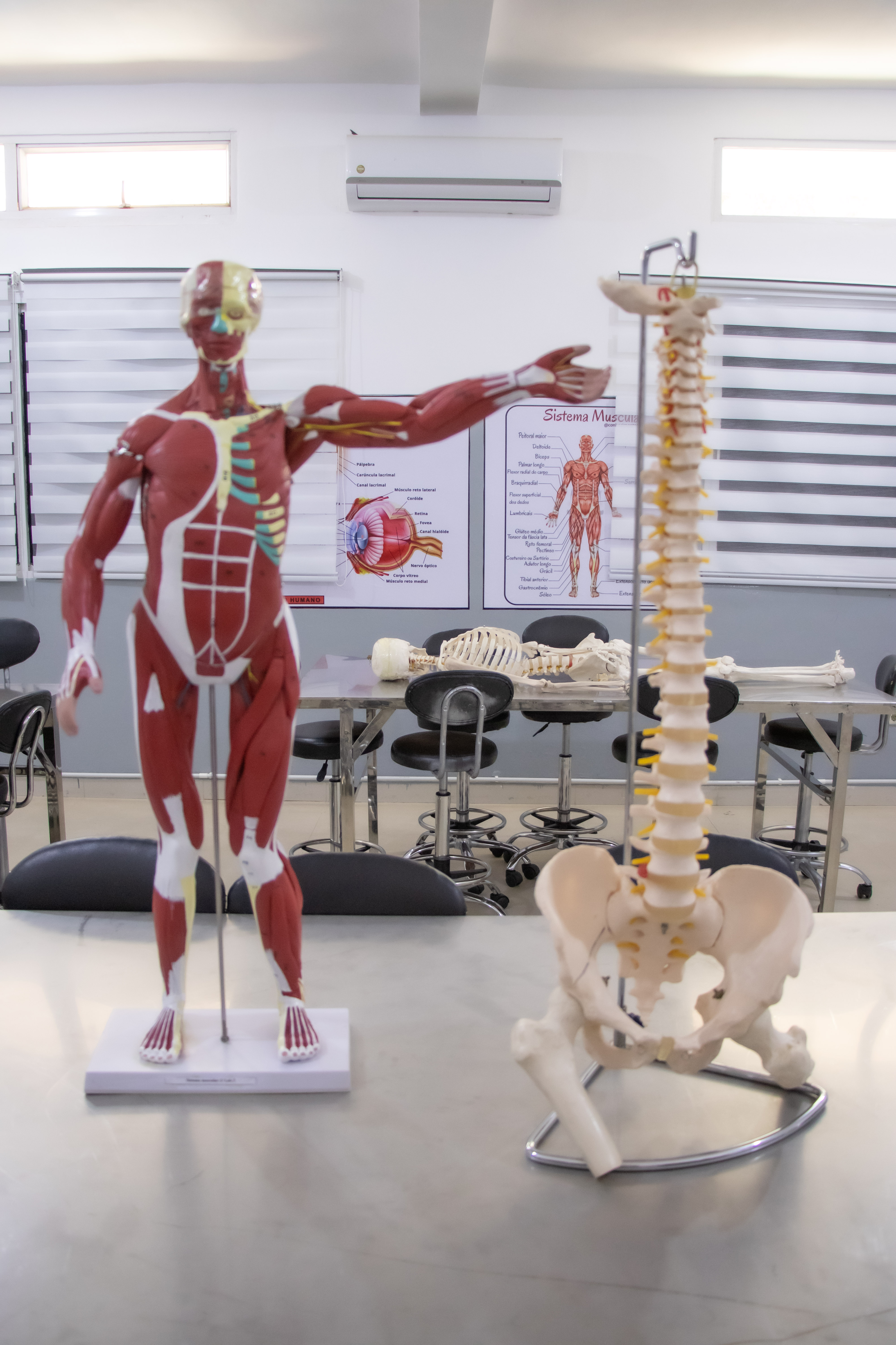Laboratório de Anatomia I — Onde o conhecimento ganha forma