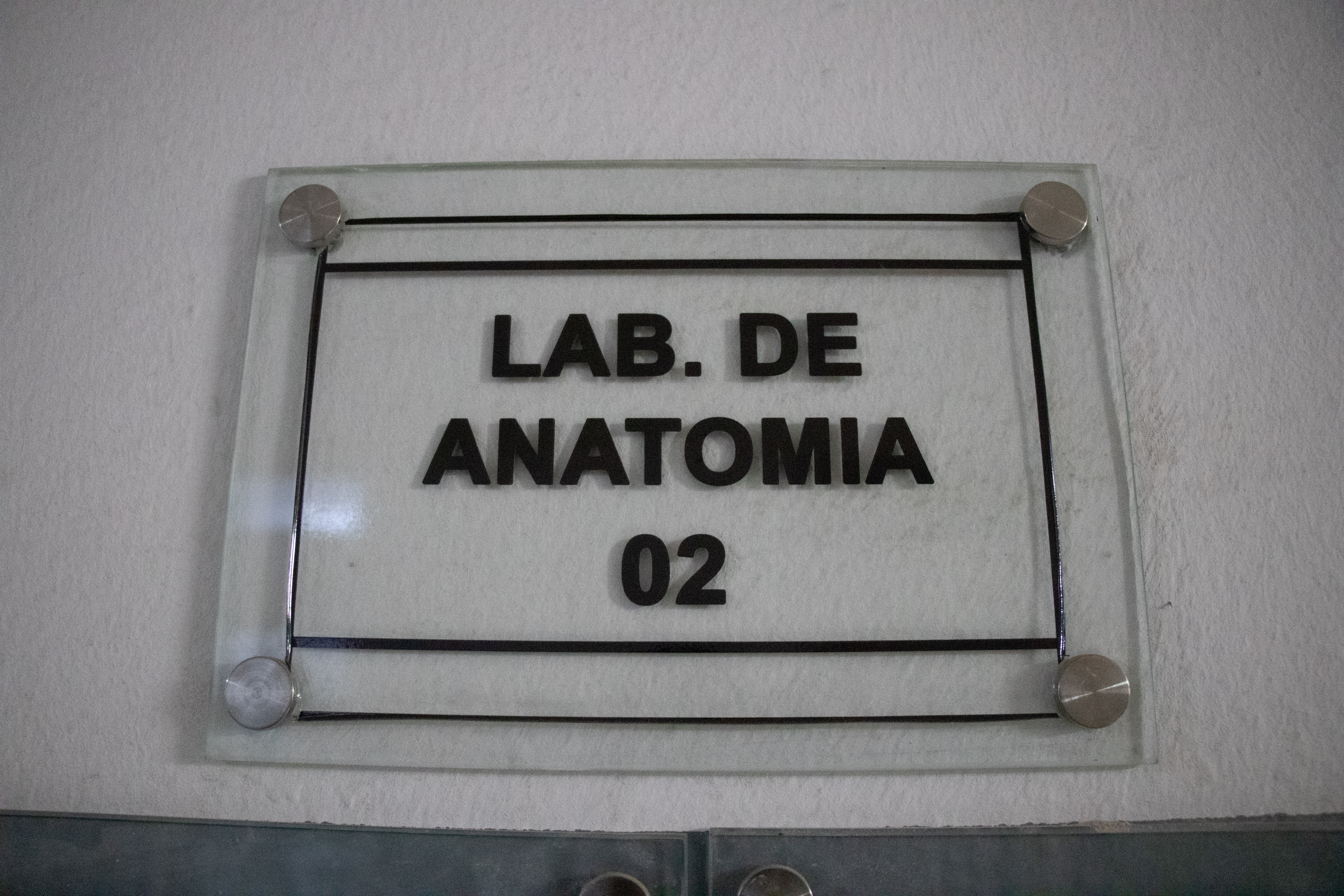 Laboratório de Anatomia II — O mais alto nível de conhecimento do corpo humano