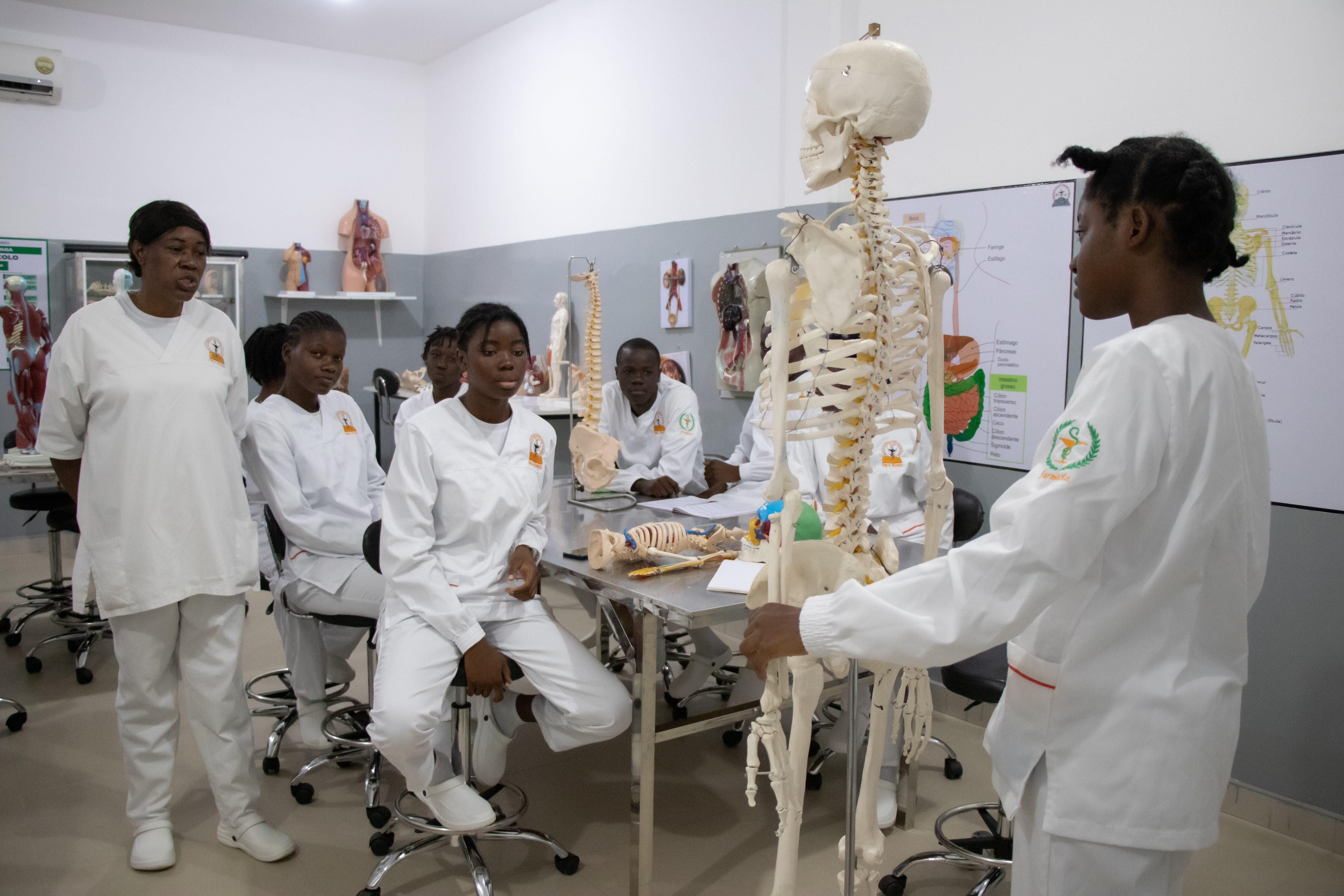 Laboratório de Anatomia II — O mais alto nível de conhecimento do corpo humano