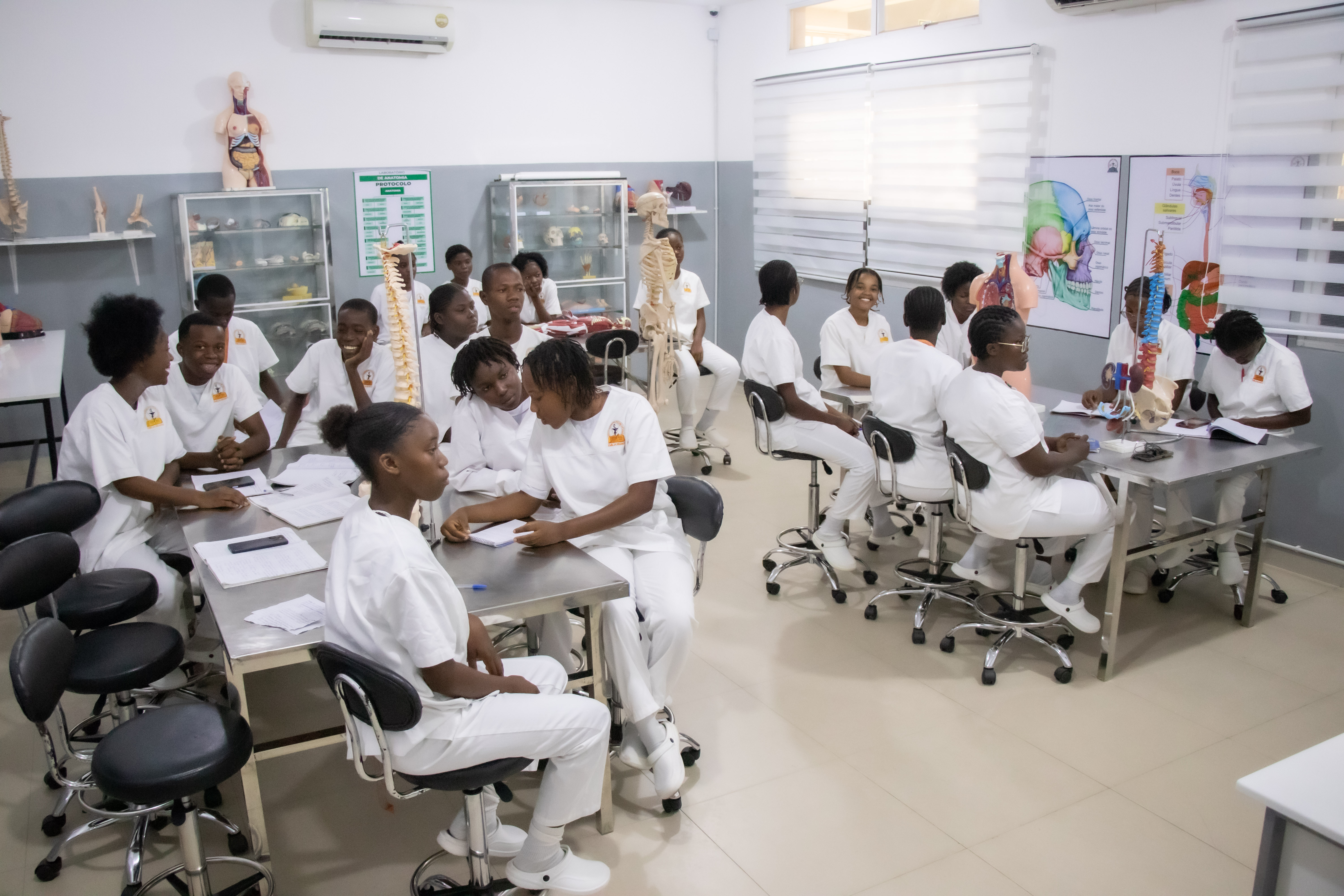 Laboratório de Anatomia II — O mais alto nível de conhecimento do corpo humano