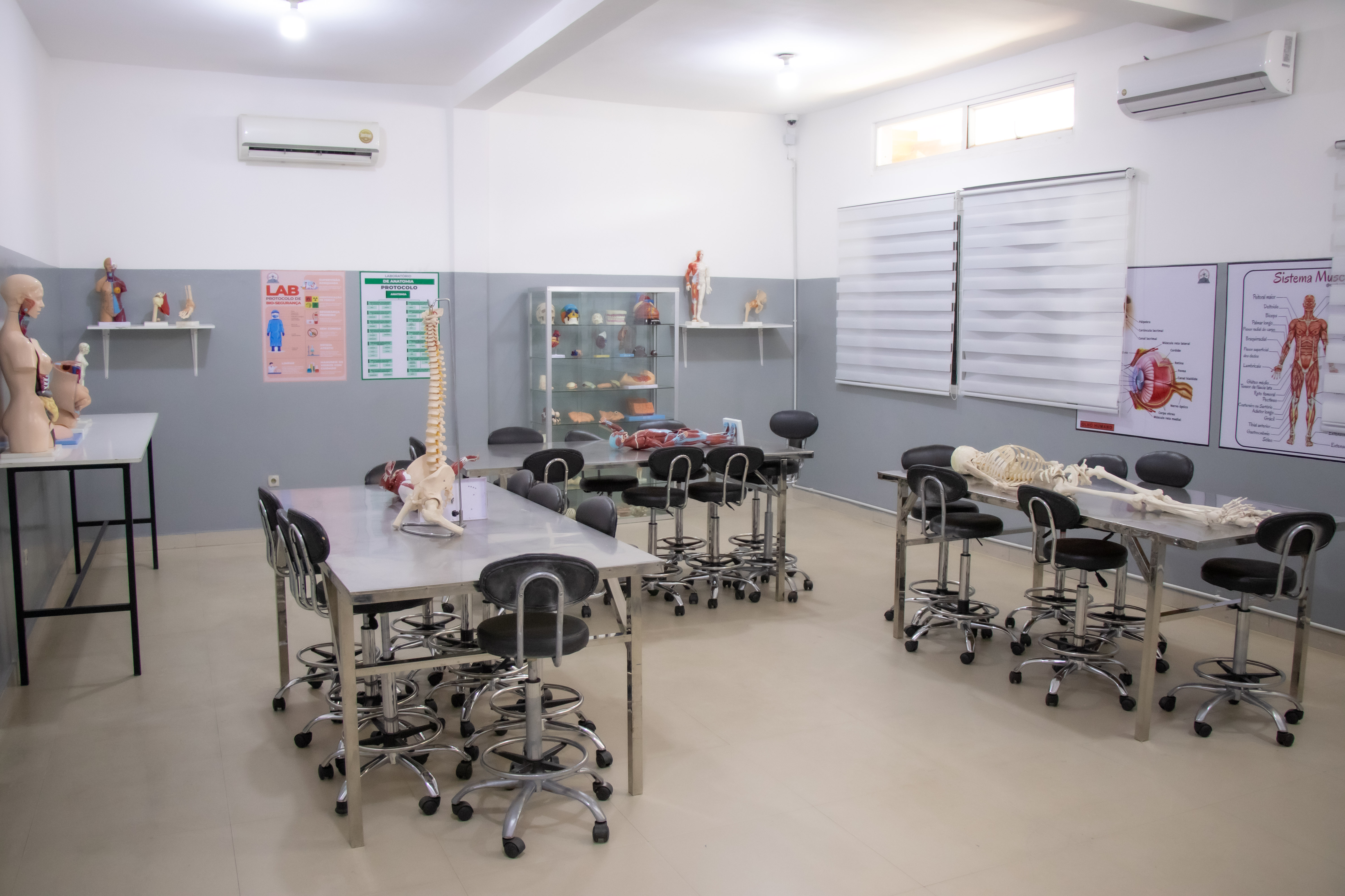 Laboratório de Anatomia II — O mais alto nível de conhecimento do corpo humano