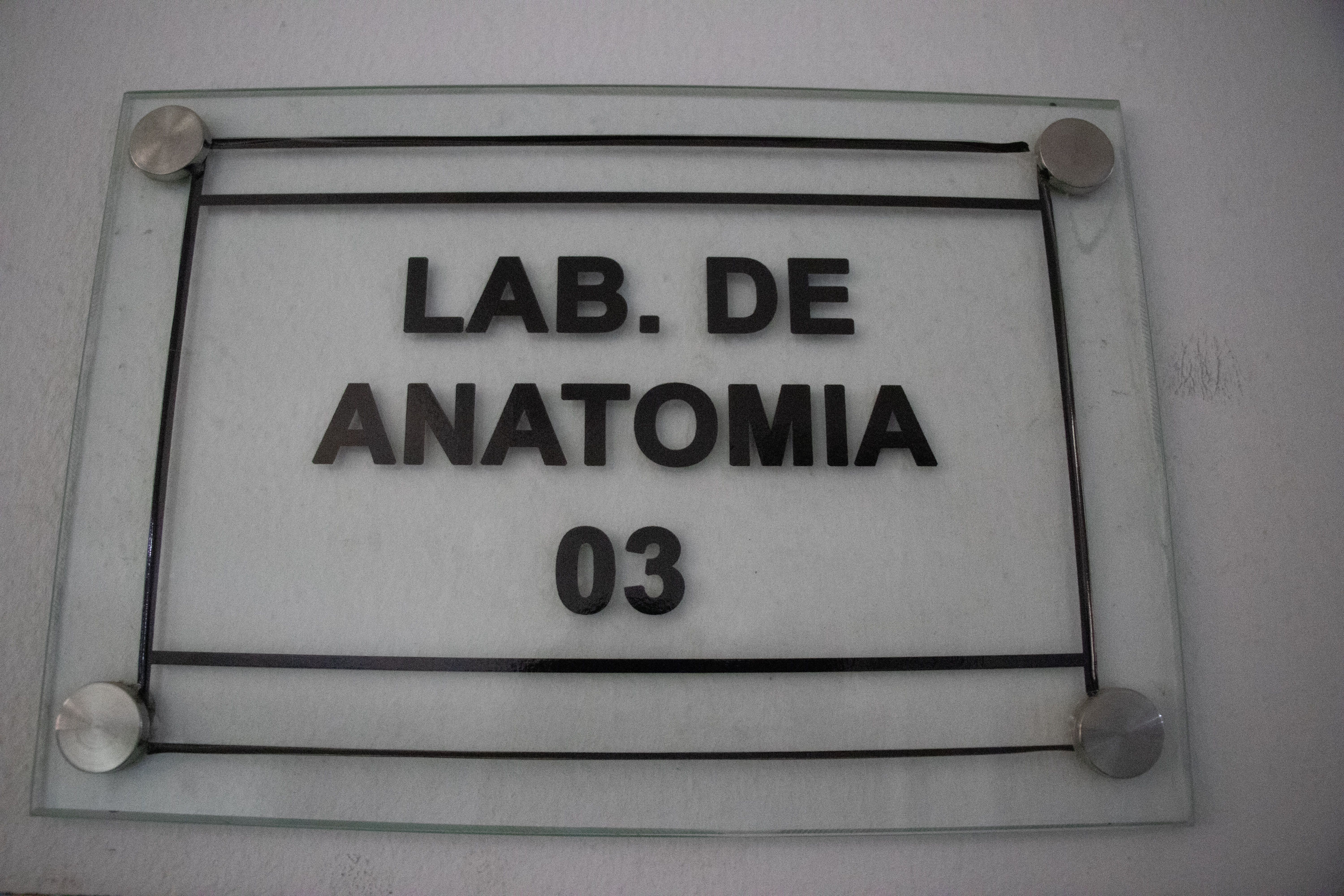 Laboratório de Anatomia III — Excelência, precisão e domínio avançado da ciência humana