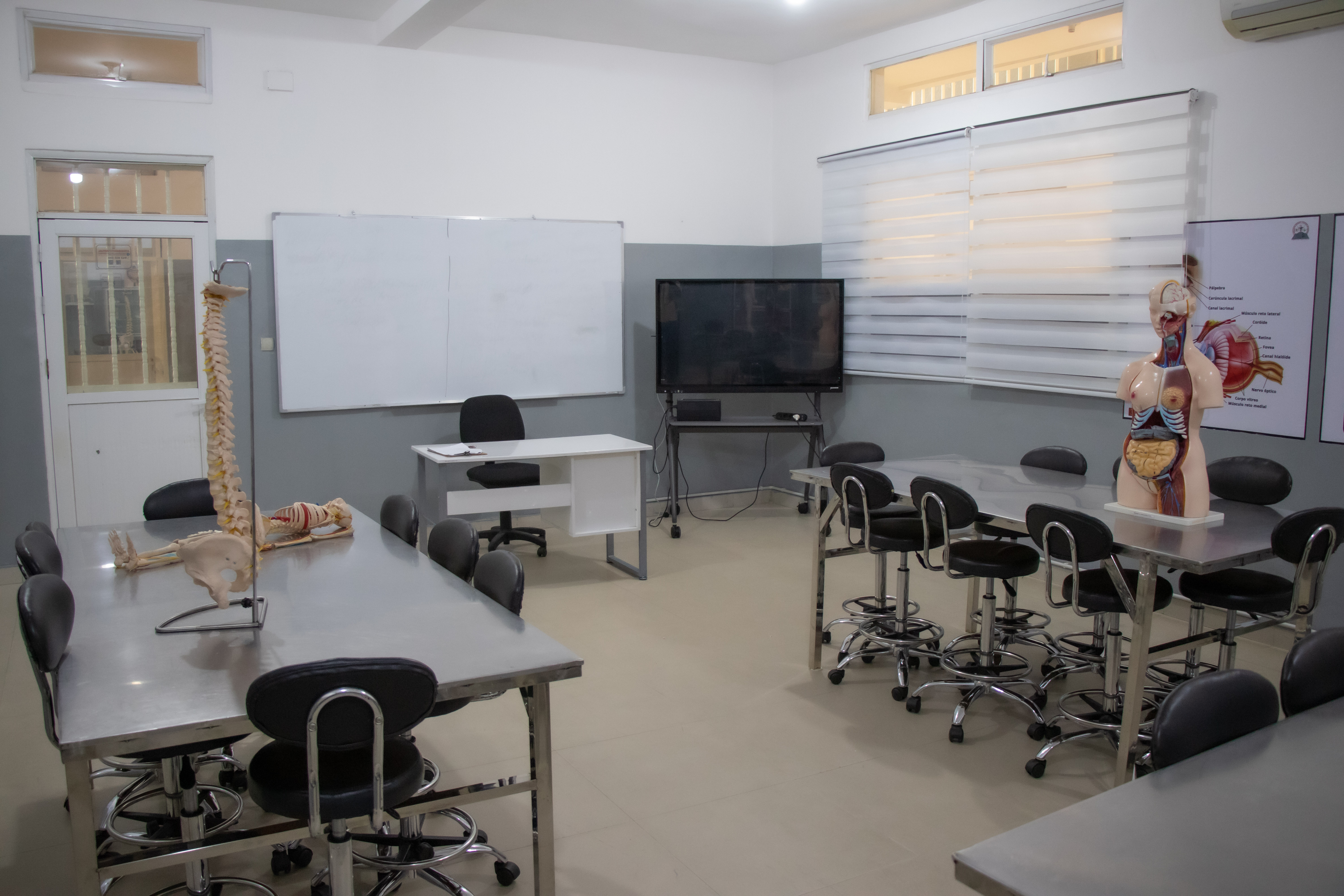 Laboratório de Anatomia III — Excelência, precisão e domínio avançado da ciência humana
