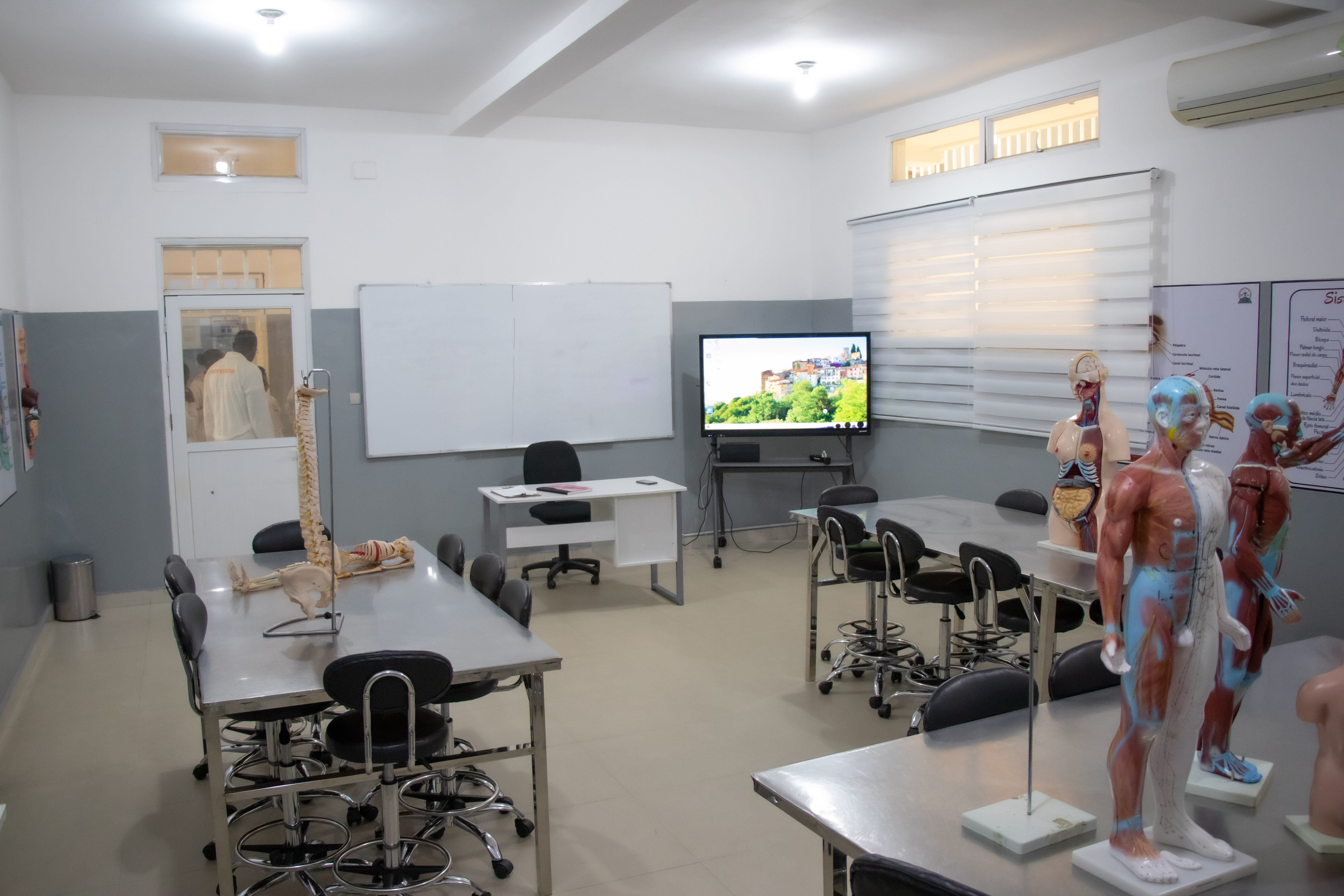Laboratório de Anatomia III — Excelência, precisão e domínio avançado da ciência humana