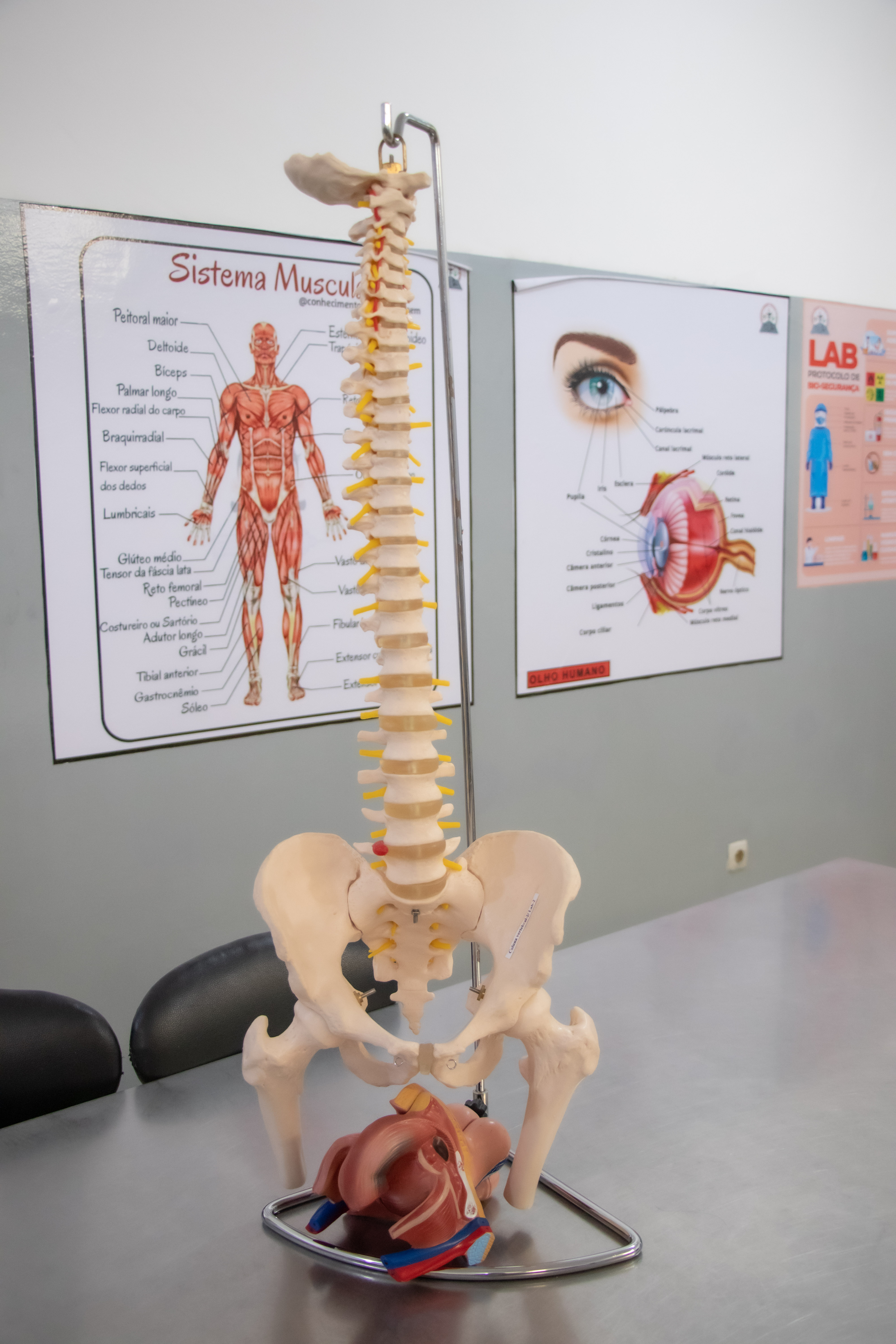 Laboratório de Anatomia III — Excelência, precisão e domínio avançado da ciência humana