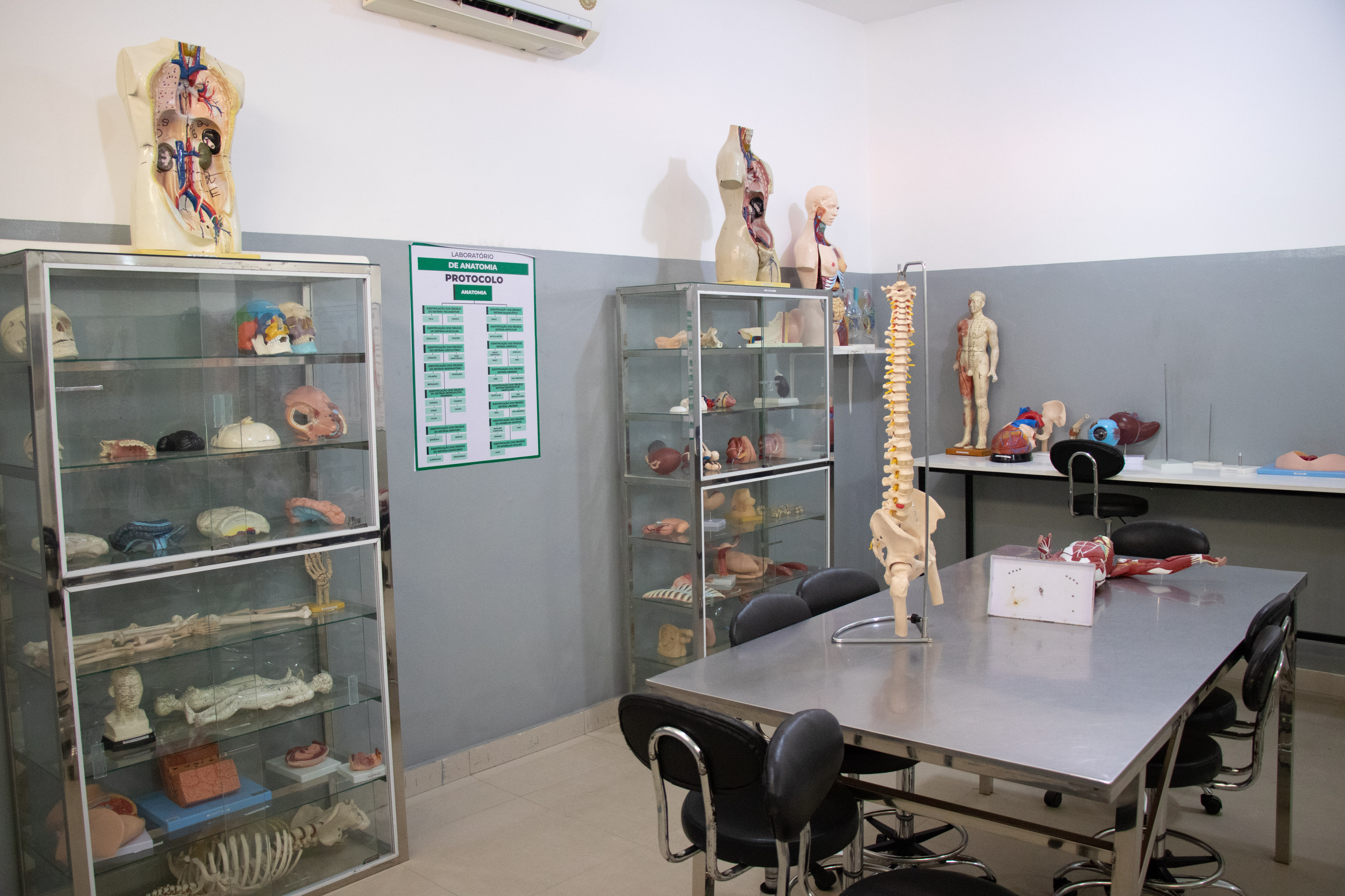 Laboratório de Anatomia III — Excelência, precisão e domínio avançado da ciência humana